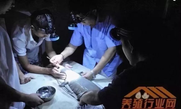 資本試水區(qū)塊鏈生物科技+大健康，場(chǎng)景應(yīng)用時(shí)代已然來(lái)臨！